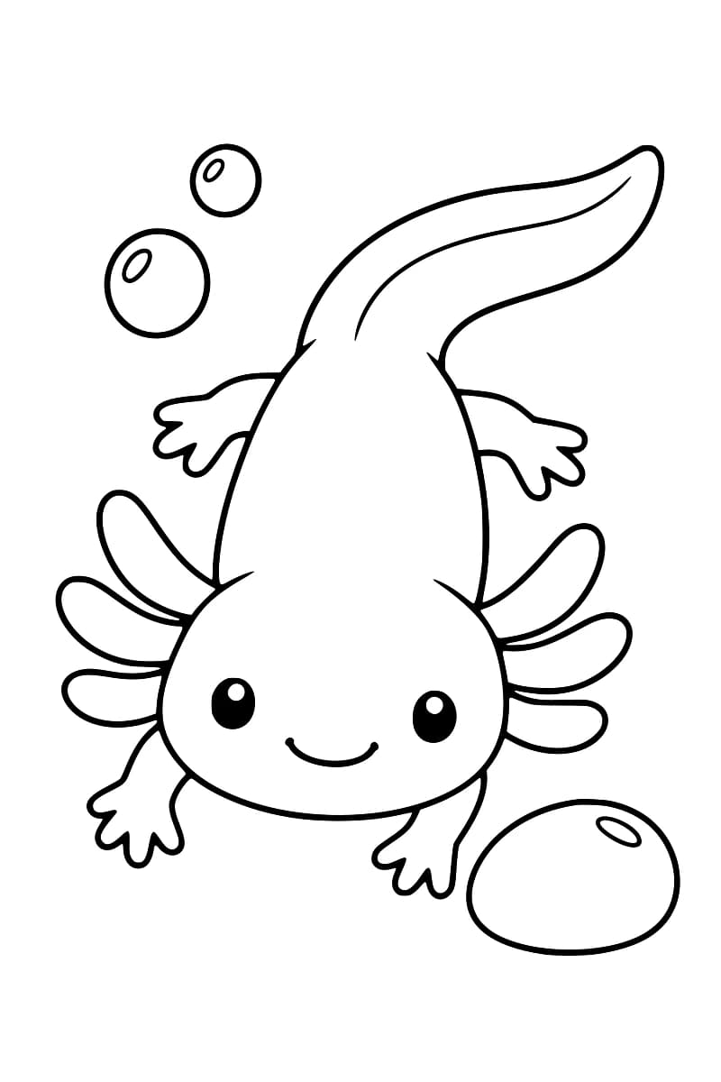 Dessin en noir et blanc d’un axolotl vu de dessus, avec des branchies de chaque côté de la tête, quatre petites pattes et une longue queue courbée vers la droite, deux bulles en haut à gauche et un galet en bas à droite.