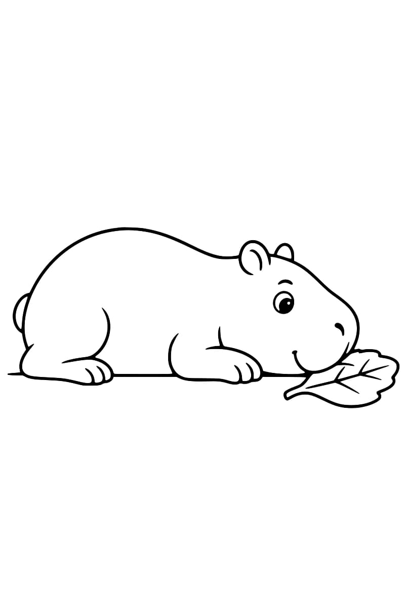 Dessin au trait noir sur fond blanc d’un capybara couché, tourné vers la droite, avec une grande feuille nervurée devant son museau.