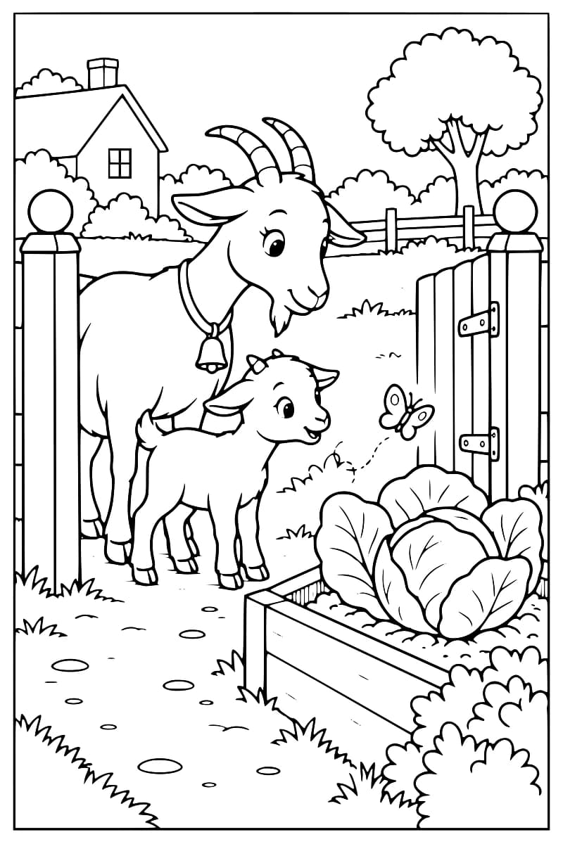 Dessin en noir et blanc d’une chèvre à clochette et d’un chevreau près d’un portillon ouvert, face à un gros chou dans un bac potager, avec un papillon, une maison, une clôture et un arbre.