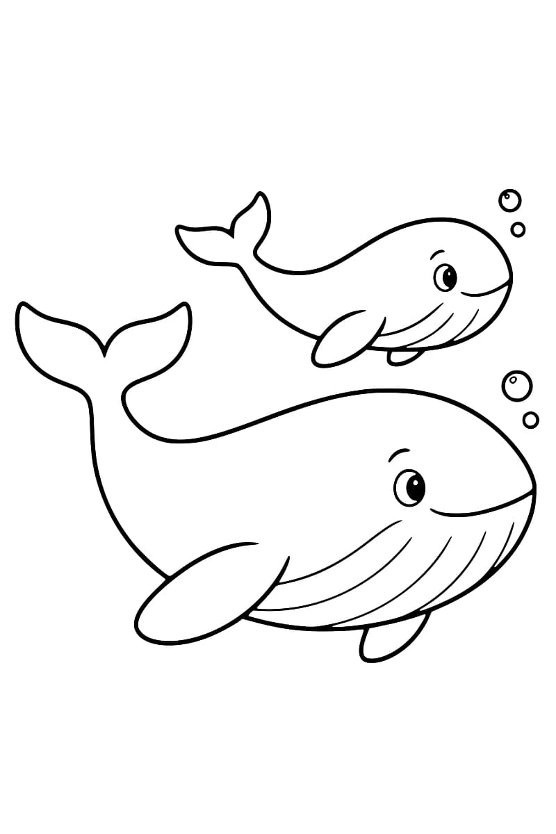 Dessin en noir et blanc de deux baleines souriantes, la petite en haut et la grande en bas, avec des nageoires, des plis sous le ventre et quelques bulles près de leur tête.