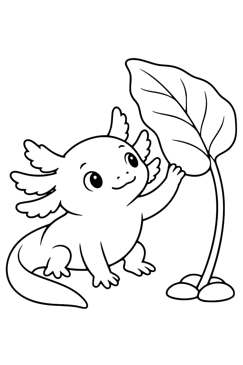 Dessin en noir et blanc d’un axolotl aux branchies frangées, avec de grands yeux et une longue queue recourbée, touchant une grande feuille nervurée avec une patte.