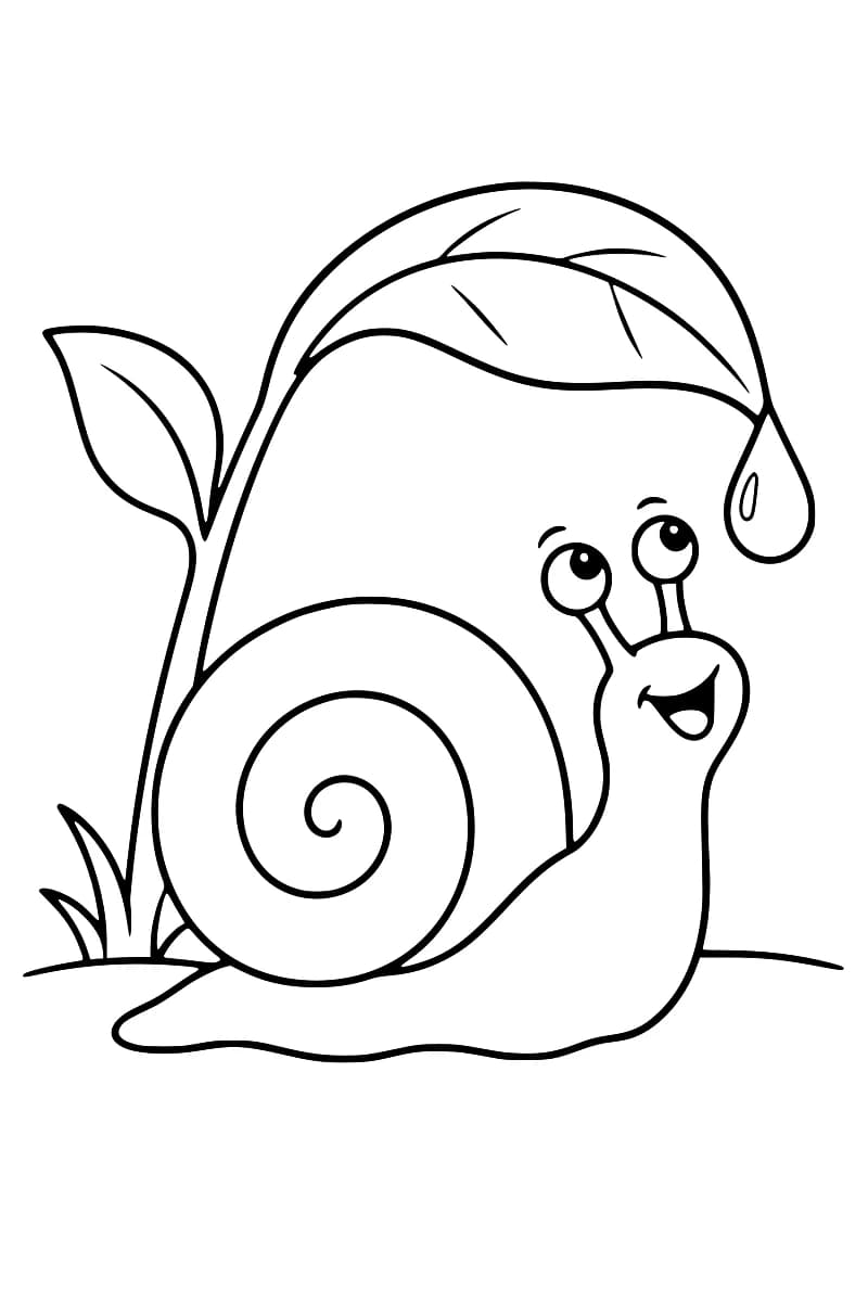 Dessin en noir et blanc d’un escargot souriant à la coquille en spirale, sous une grande feuille portant une goutte d’eau à son extrémité.