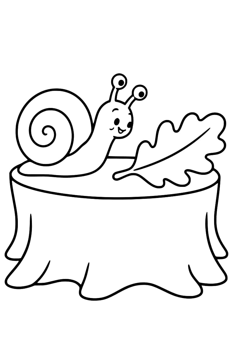 Dessin en noir et blanc d’un escargot à coquille en spirale sur une large souche, avec une grande feuille de chêne posée à sa droite.