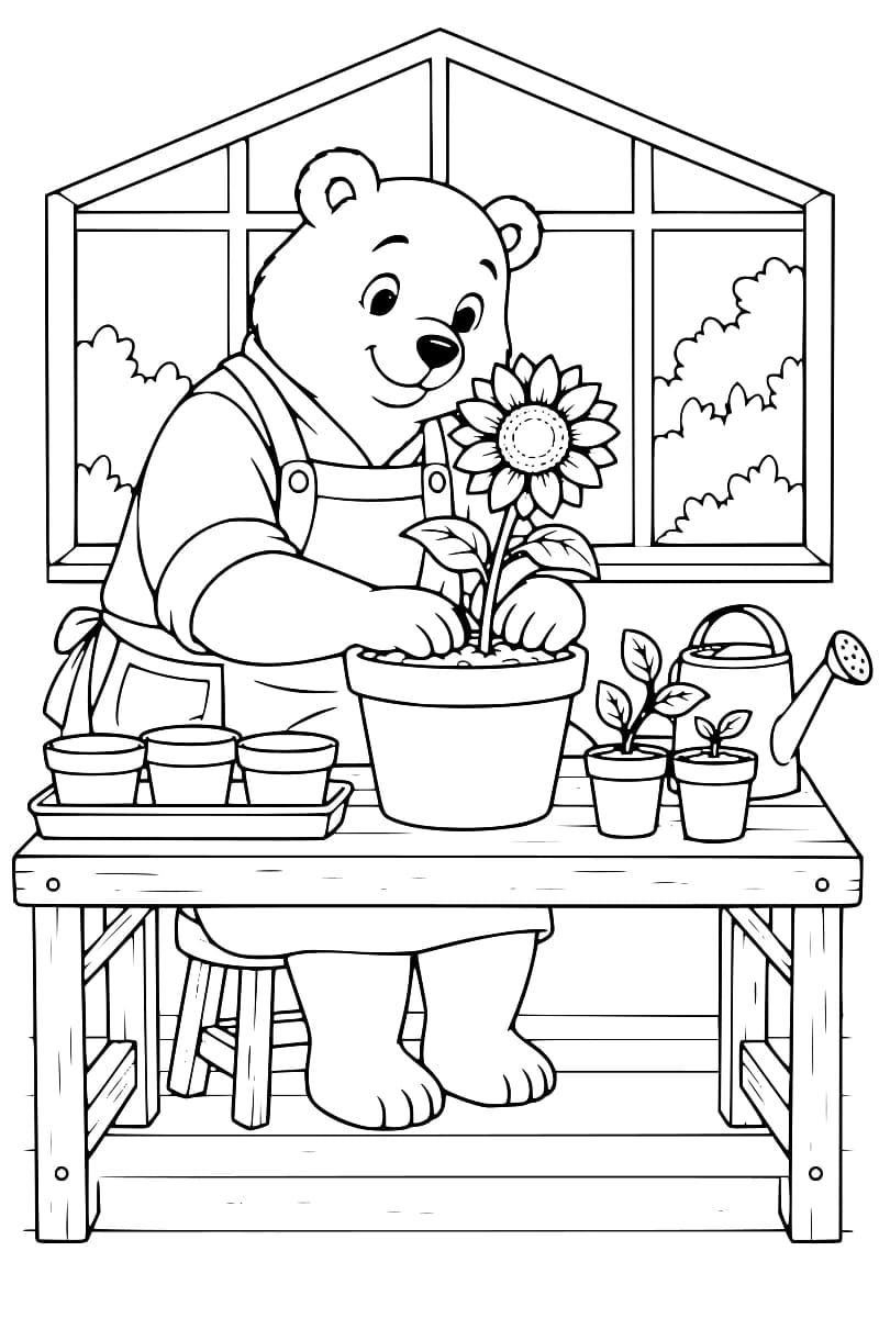 Dessin au trait d’un ours souriant en tablier, assis devant un établi et tassant la terre autour d’un tournesol en pot, avec trois pots sur un plateau à gauche, deux jeunes plantes et un arrosoir à droite, devant une grande fenêtre.