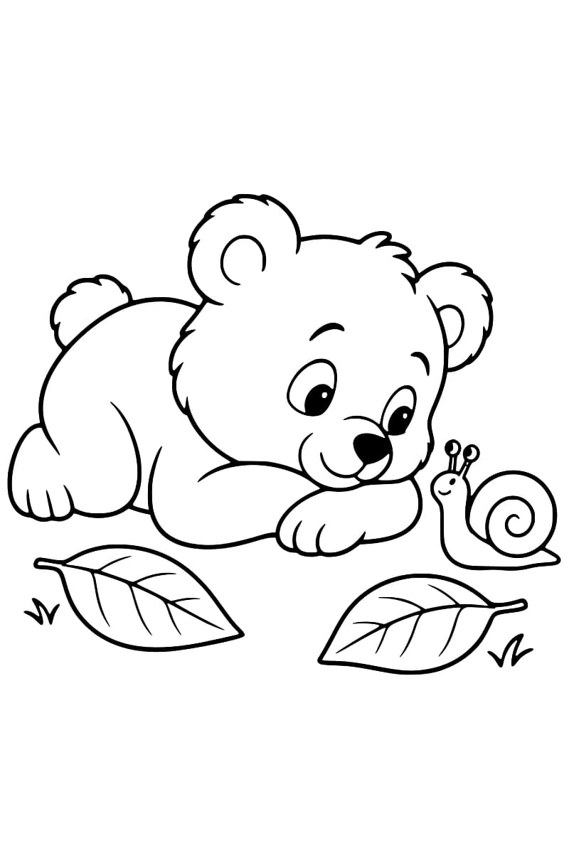 Dessin au trait noir sur fond blanc d’un ourson couché face à un escargot à coquille en spirale, avec deux grandes feuilles et quelques brins d’herbe au premier plan.