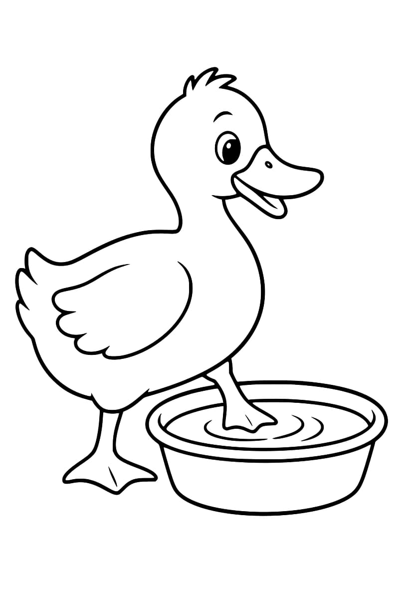 Dessin en noir et blanc d’un canard au bec ouvert, debout avec une patte au sol et l’autre dans une bassine d’eau marquée de petites ondulations.