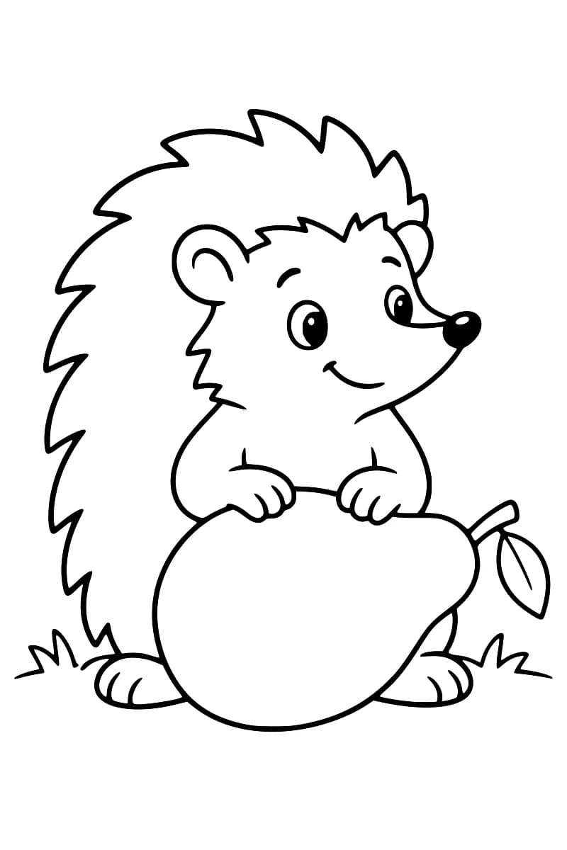 Dessin en noir et blanc d’un hérisson derrière une grande poire inclinée, les deux pattes posées sur le fruit, dont la tige porte une feuille.
