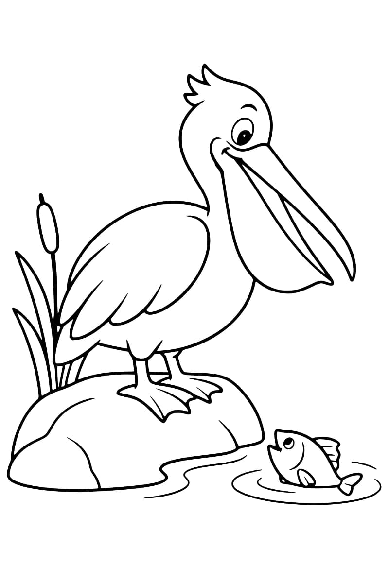 Dessin en noir et blanc d’un pélican debout sur un rocher, avec des roseaux et un poisson dans l’eau.