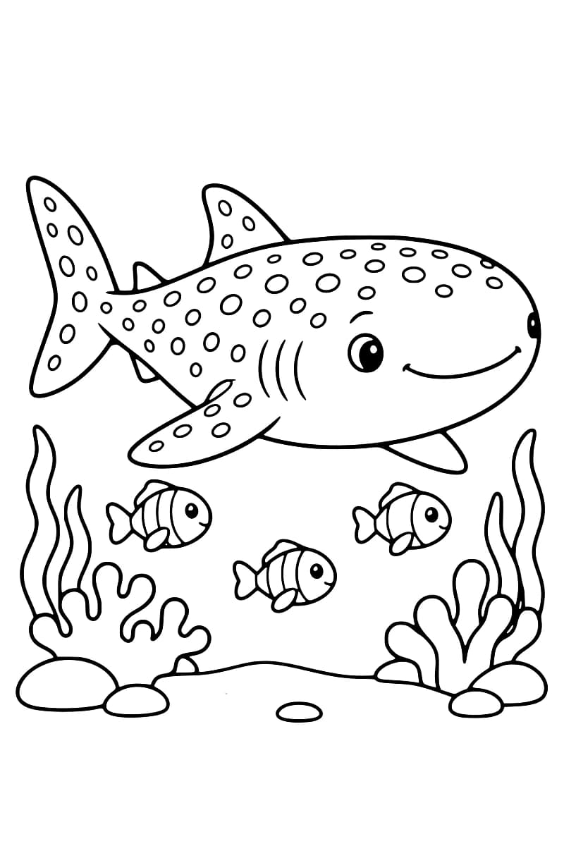 Dessin en noir et blanc d’un requin-baleine couvert de taches, accompagné de trois petits poissons dans un décor sous-marin avec algues et rochers.