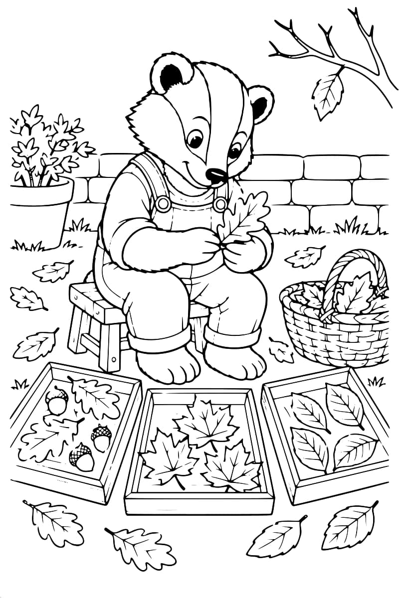 Dessin à colorier d’un blaireau en salopette, assis sur un tabouret et tenant une feuille de chêne entre ses pattes. Devant lui, trois plateaux contiennent des feuilles de formes différentes et quelques glands. Un panier de feuilles, un pot de fleurs, un muret et une branche complètent la scène.