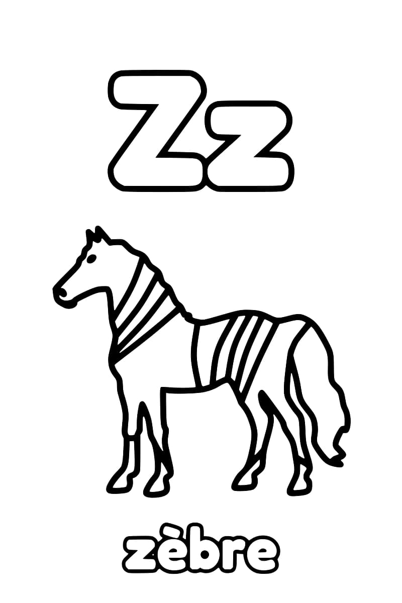 Dessin en noir et blanc : la lettre Z majuscule et la lettre z minuscule surmontent un zèbre.