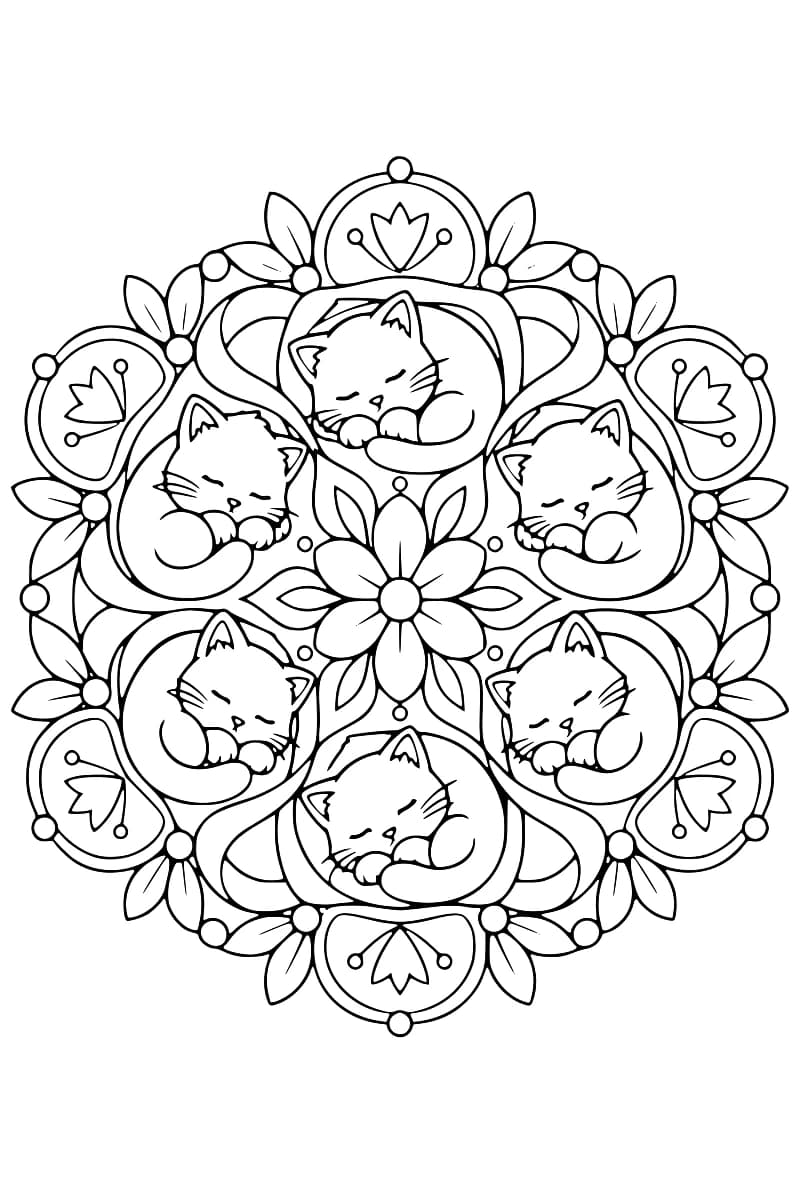 Dessin au trait noir sur fond blanc représentant six chatons aux yeux fermés, roulés en boule autour d’une fleur à six pétales, dans un mandala bordé de feuilles, de fleurs et de petits cercles.