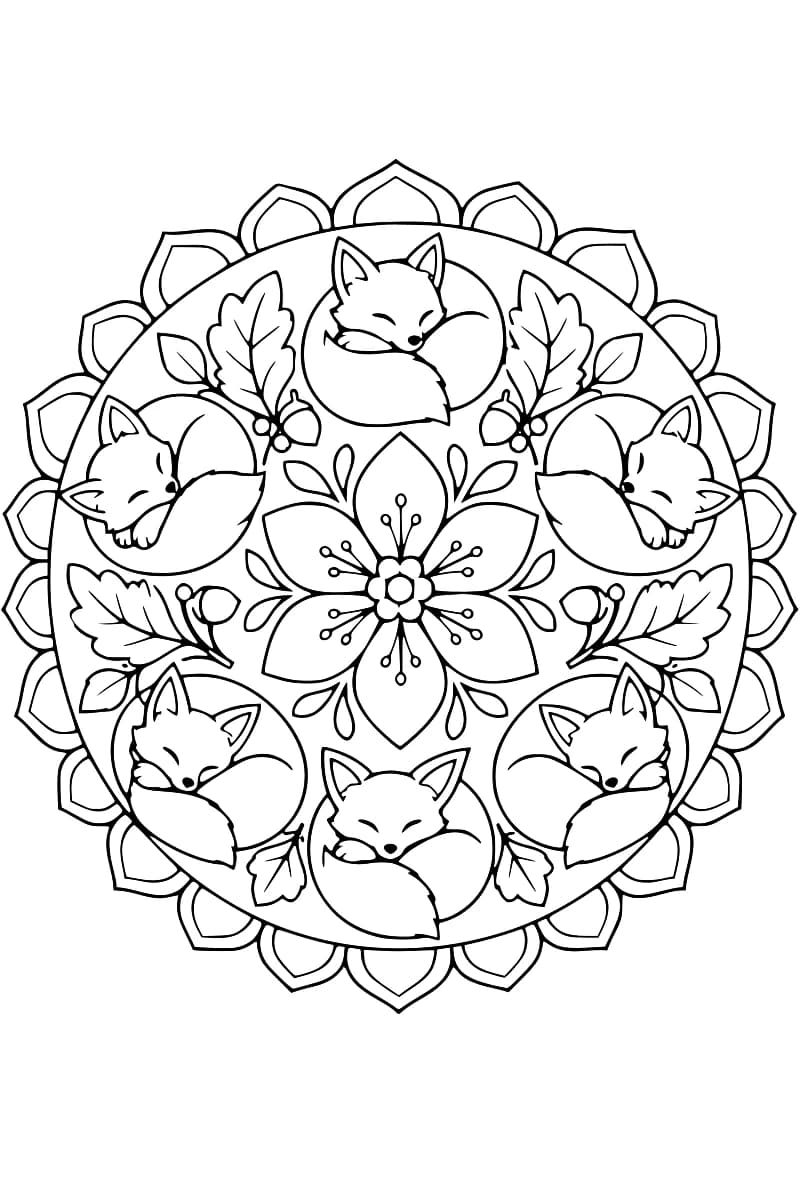 Dessin en noir et blanc de six renards endormis, enroulés dans leur queue et disposés en cercle autour d’une grande fleur à six pétales, parmi des feuilles et des glands, avec une bordure de motifs en pétales.