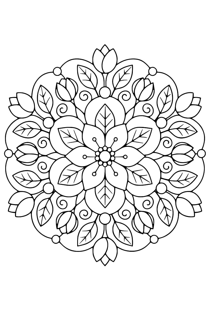 Dessin en noir et blanc d’un mandala floral aux feuilles nervurées, boutons de fleurs, petits cercles et volutes.