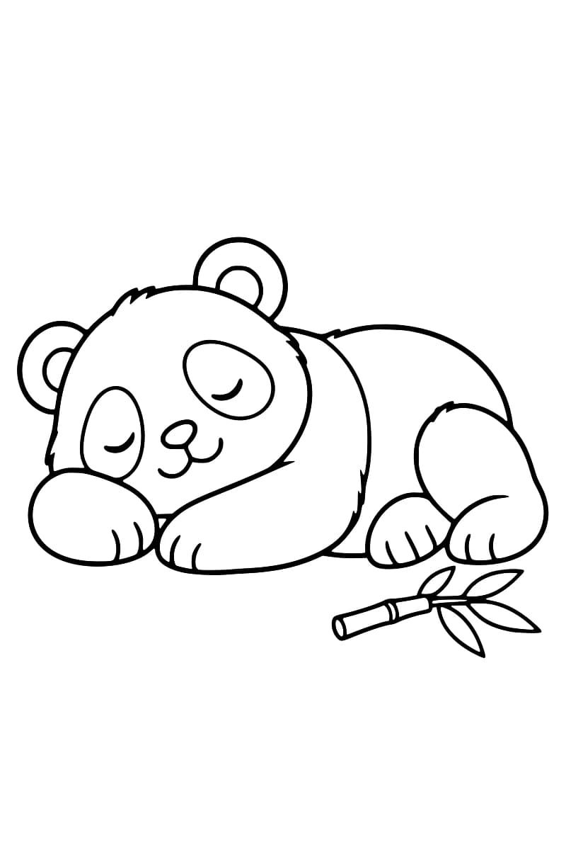 Dessin au trait noir sur fond blanc d’un panda couché, les yeux fermés et la tête sur une patte, avec une branche de bambou feuillue près des pattes arrière.