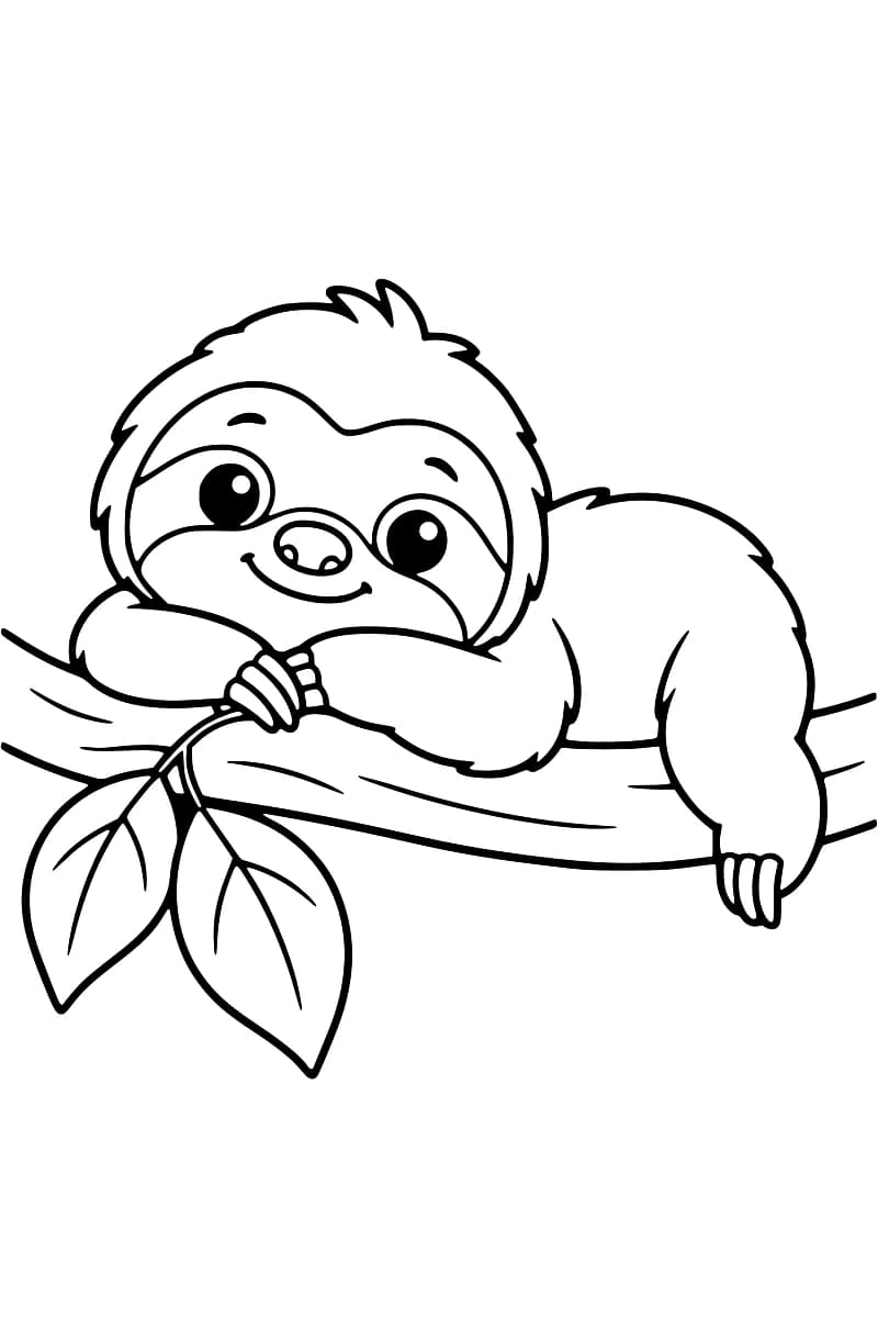 Dessin en noir et blanc d’un paresseux aux grands yeux ouverts, allongé sur une branche portant deux feuilles, avec une patte arrière pendante.