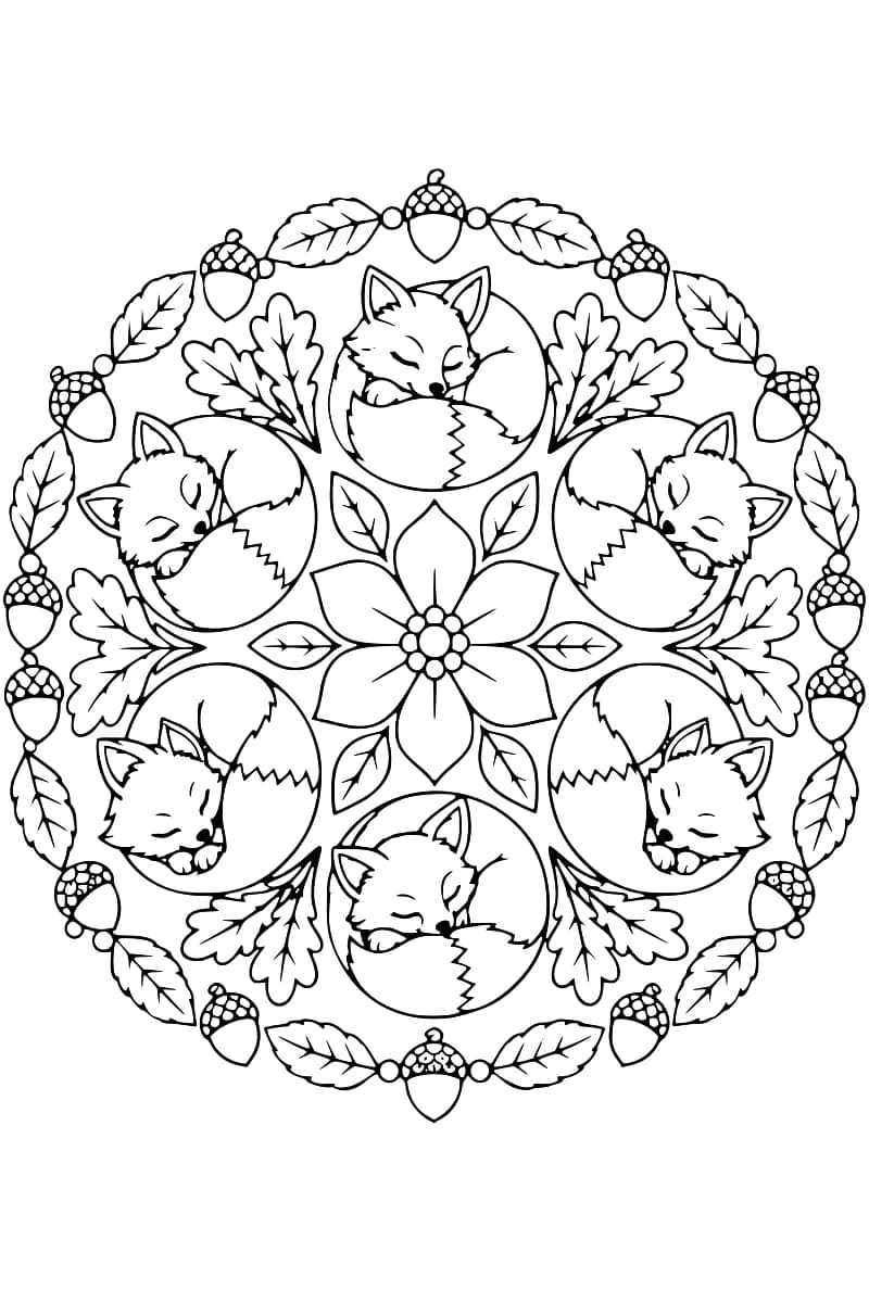 Dessin au trait noir sur fond blanc représentant six renards endormis, enroulés dans leur queue autour d’une fleur à six pétales, avec des feuilles de chêne et une bordure alternant feuilles et glands.