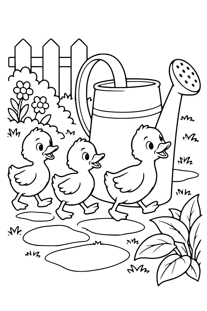Dessin au trait noir sur fond blanc montrant trois canetons devant un grand arrosoir, avec une clôture, des fleurs, des touffes d’herbe et des pierres au sol.
