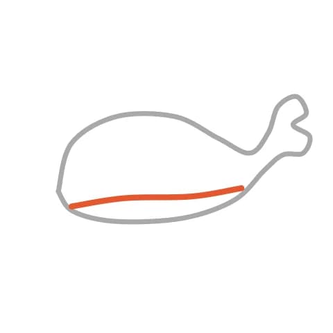 Étape 2 : Ajoute un trait courbe en bas du corps pour dessiner le ventre.
