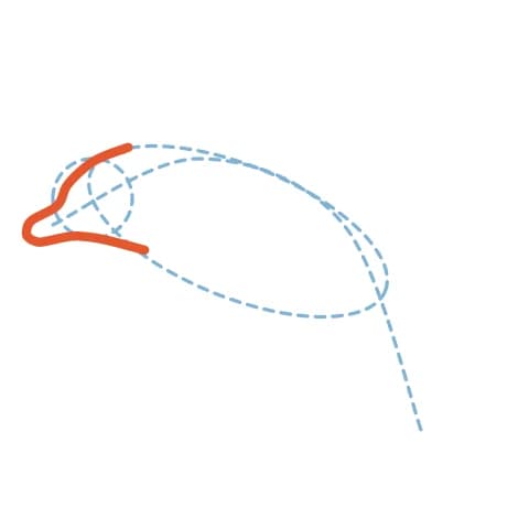 Étape 2 : Sur le cercle de la tête, dessine un bec court, le trait de la bouche et une courbe pour arrondir le front.