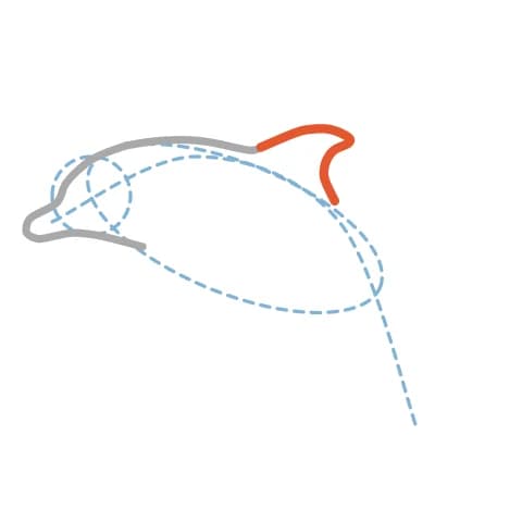 Étape 4 : Sur le dos, ajoute une nageoire en forme de triangle à la pointe courbée.