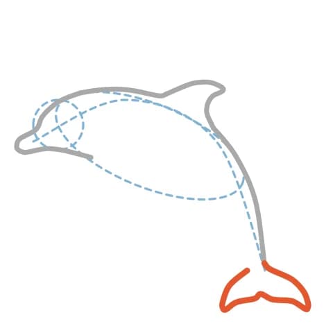 Étape 6 : Au bout du dos, dessine les deux lobes de la queue avec des triangles aux contours courbes, orientés de chaque côté.