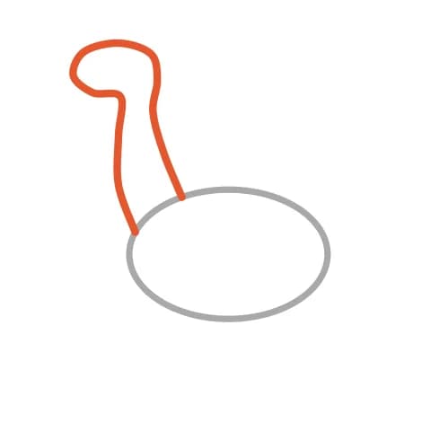 Étape 2 : À droite de l’ovale, trace deux longs traits courbes pour un cou épais, puis un rond plus petit au sommet pour la tête.