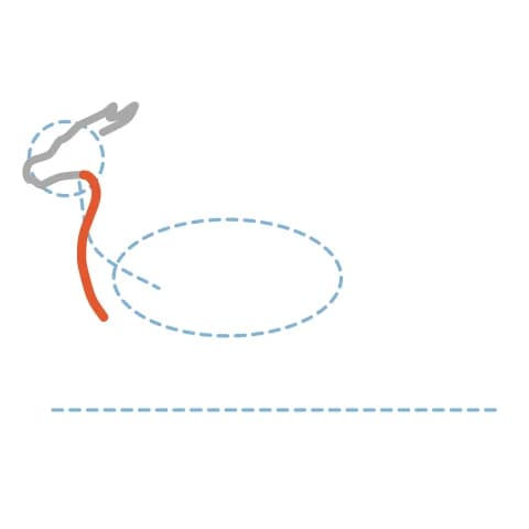 Étape 3 : Trace une longue courbe depuis le dessous de la mâchoire pour former l’avant du cou et descendre jusqu’à la poitrine.