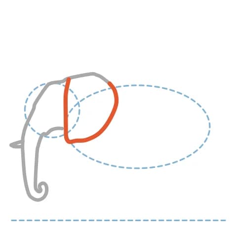 Étape 5 : Trace une grande oreille en forme d’ovale irrégulier, qui descend depuis la tête et recouvre l’épaule.