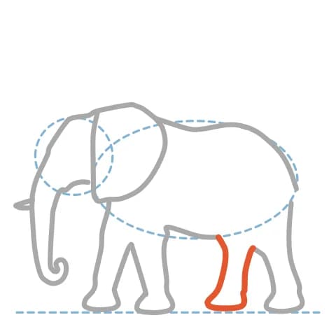 Étape 10 : Ajoute la patte arrière éloignée derrière la précédente, avec deux traits et une courbe pour fermer le pied.
