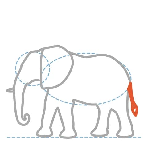 Étape 11 : À l’arrière de la croupe, trace une queue fine avec deux courbes rapprochées et termine-la par une touffe de petits traits.