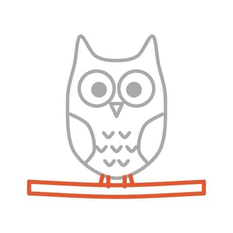 Étape 6 : Sous le hibou, trace une branche avec deux longs traits, puis deux petits groupes de courbes autour pour les pattes qui la tiennent.