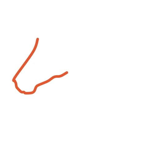 Étape 1 : Dessine un long nez qui descend en pente vers un museau arrondi, puis prolonge le trait en courbe pour former la mâchoire ronde.