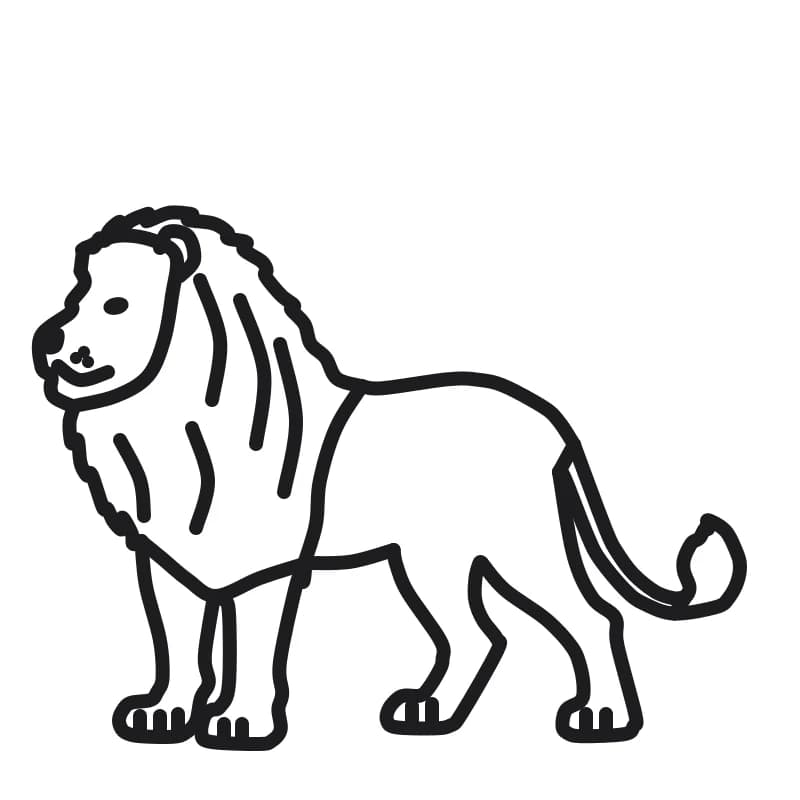 Dessin en noir et blanc d’un lion debout de profil, avec une grande crinière, quatre pattes et une longue queue terminée par une touffe.