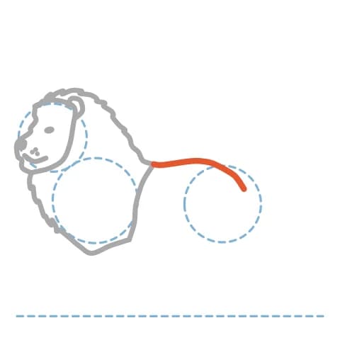 Étape 5 : Dessine une courbe pour le dos, du haut du poitrail jusqu’à l’arrondi des hanches.