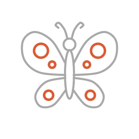 Étape 5 : Dessine des ronds à l’intérieur des quatre ailes pour créer les motifs.