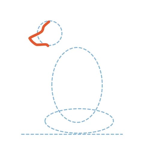 Étape 2 : Sur le rond, dessine un long museau pointu terminé par un petit nez, puis relie la mâchoire et le front avec des courbes.