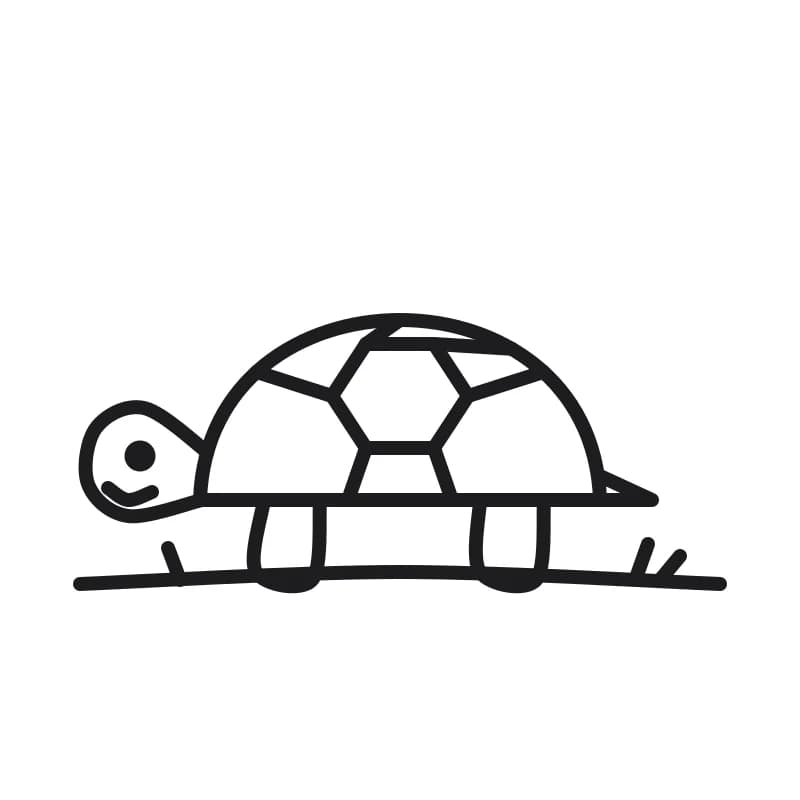 Dessin en noir et blanc d’une tortue souriante, tête à gauche, avec une carapace à motifs, deux petites pattes, une queue et de l’herbe.