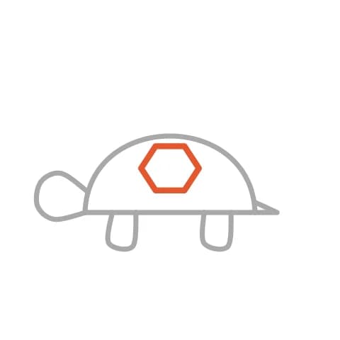 Étape 4 : Au milieu de la carapace, dessine une forme à six côtés, appelée hexagone.