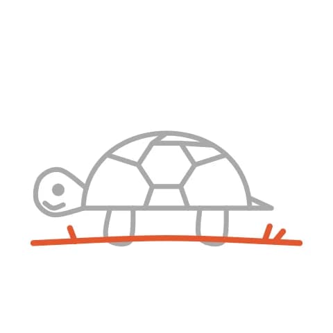 Étape 7 : Sous la tortue, dessine de petits traits penchés pour représenter l’herbe.