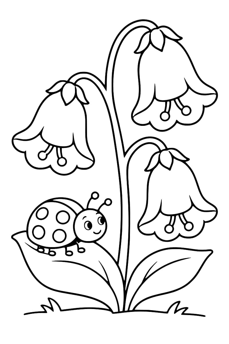 Dessin en noir et blanc de trois fleurs retombantes en forme de clochettes, avec deux grandes feuilles et une coccinelle à pois sur la feuille de gauche.