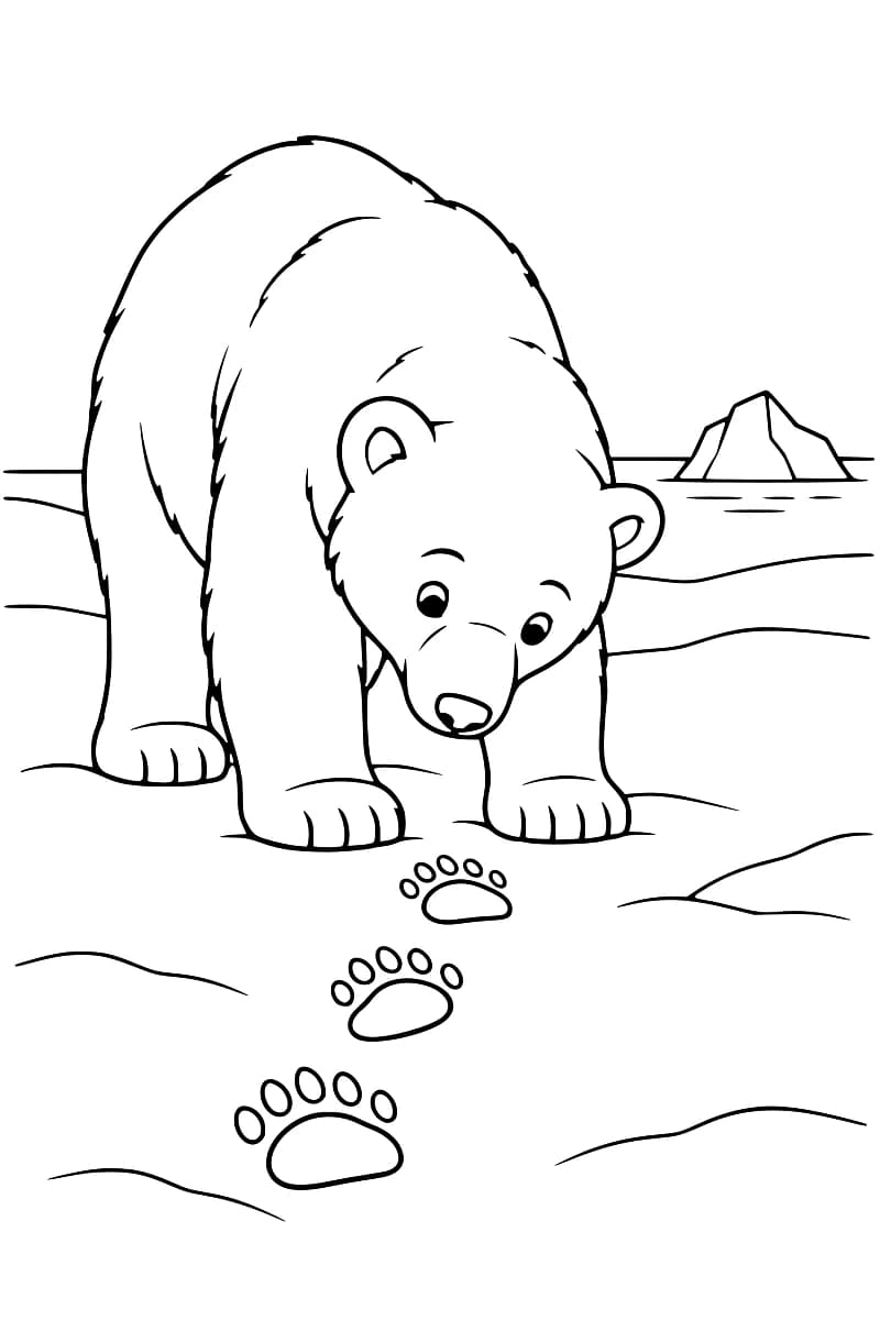 Dessin en noir et blanc d’un ours polaire penché vers trois empreintes de pattes alignées dans la neige, avec un iceberg à l’arrière-plan.