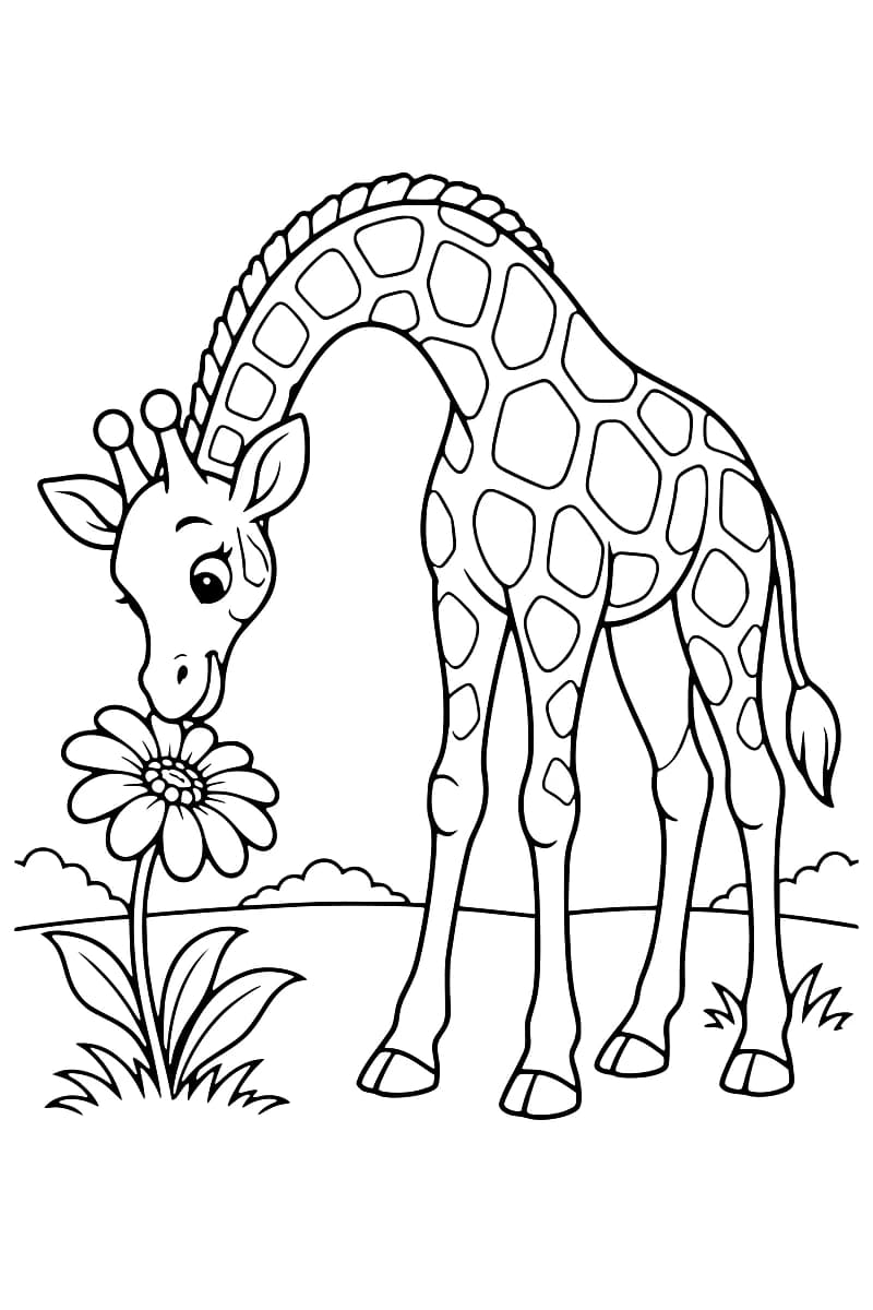 Dessin en noir et blanc d’une girafe au cou penché vers une grande fleur, entourée de feuilles et de touffes d’herbe.