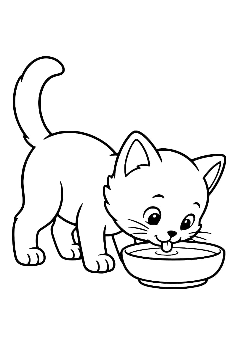 Chaton debout, la tête penchée, buvant dans une écuelle.