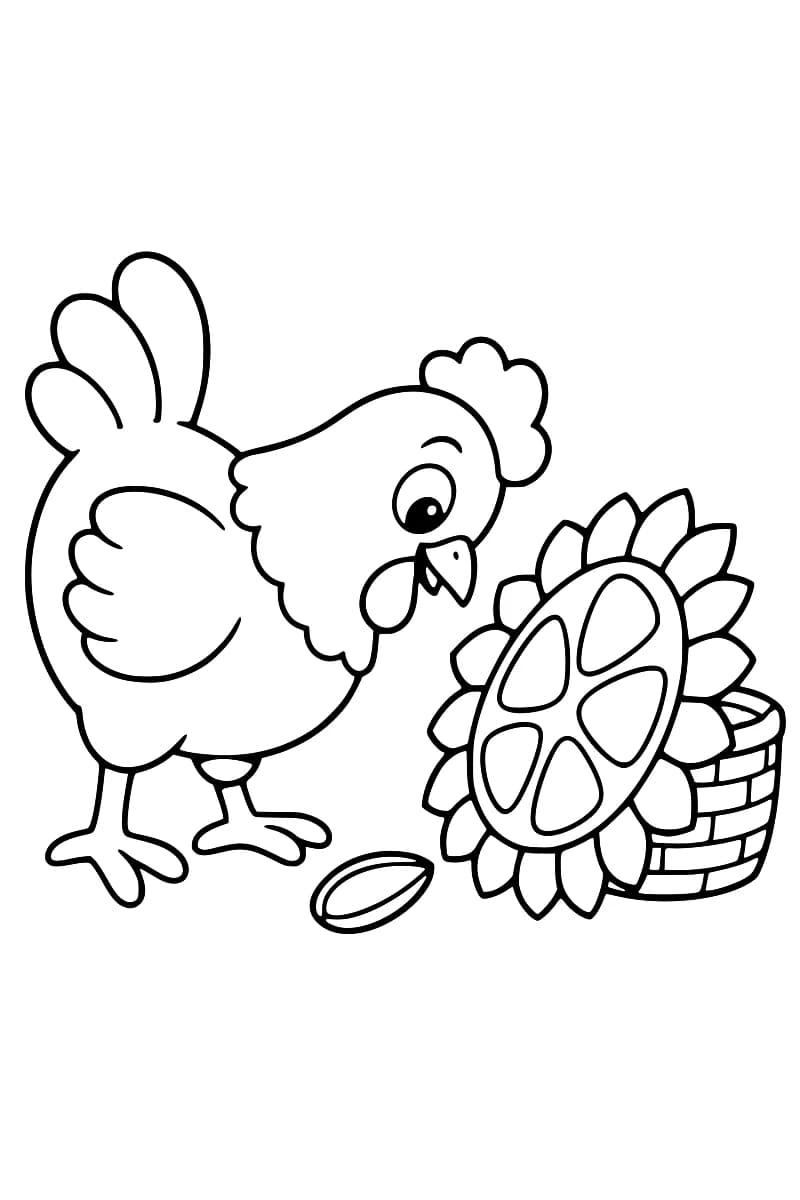 Dessin au trait noir sur fond blanc d’une poule à gauche, d’une graine au sol et d’une grande tête de tournesol inclinée contre un panier tressé à droite.