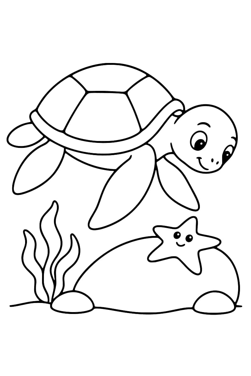 Dessin en noir et blanc d’une tortue marine souriante au-dessus d’une étoile de mer souriante sur un rocher, avec des algues à gauche et deux petits cailloux au pied du rocher.