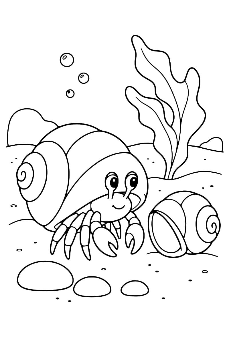 Dessin en noir et blanc d’un bernard-l’ermite dans une grande coquille spiralée, à côté d’une coquille vide plus petite, avec des galets, une algue et des bulles.
