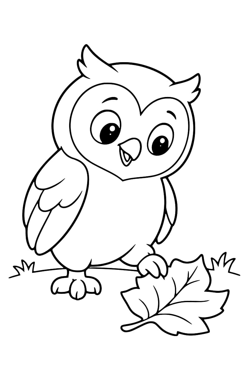 Dessin en noir et blanc d’un hibou debout, une patte posée sur une grande feuille.