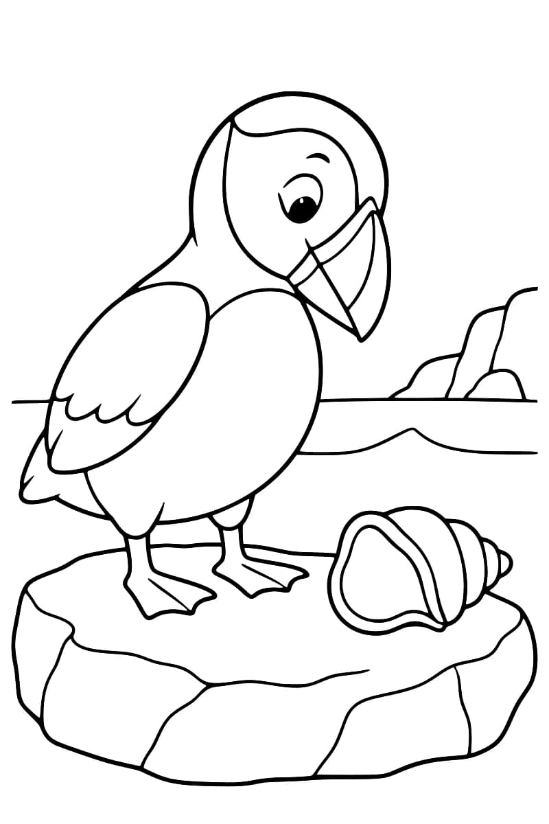 Dessin au trait noir d’un macareux debout sur un rocher, la tête inclinée vers un coquillage en spirale, avec la mer et des rochers à l’arrière-plan.