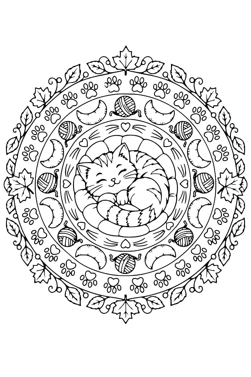 Dessin en noir et blanc représentant un chat endormi au centre d’un mandala entouré de chats stylisés, de pelotes, d’empreintes et de feuillages.